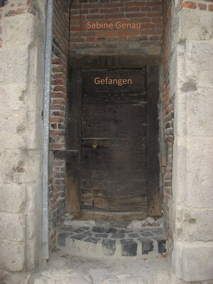 cover image of Gefangen